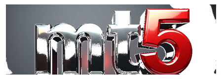 mt5 logo